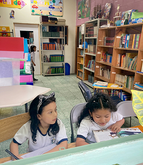 Of pickup trucks and a very hungry caterpillar