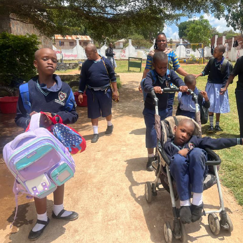 A young girl carries a few backpacks, while a boy pushes another boy in a stroller. Several other people follow nearby.