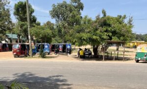 A picnic table with a group of Tanzanians sitting under the shade of a tree with their tuks-tuks parked nearby.